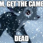 Bad Luck Bambi | "MOM, GET THE CAMERA!" DEAD | image tagged in bad luck bambi | made w/ Imgflip meme maker