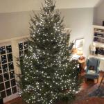 Christmas Tree 15ft