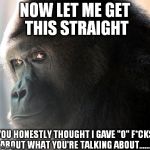 You Thought I Gave "0" F*cks | NOW LET ME GET THIS STRAIGHT YOU HONESTLY THOUGHT I GAVE "0" F*CKS ABOUT WHAT YOU'RE TALKING ABOUT....... | image tagged in funny,funny animals,getatme,gorilla,zerofcks | made w/ Imgflip meme maker