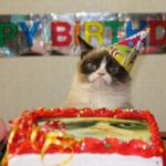 Grumpy Birthday Cat