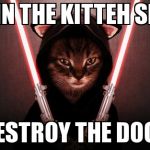 Kitteh side | JOIN THE KITTEH SIDE DESTROY THE DOGS | image tagged in sith kitten | made w/ Imgflip meme maker