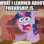 what i learned about friendship is... meme