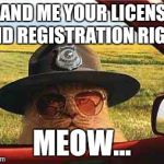 Trooper cat | HAND ME YOUR LICENSE AND REGISTRATION RIGHT MEOW... | image tagged in avo2484catsheriff,funny memes,comedy,original bad luck brian,funny | made w/ Imgflip meme maker