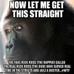 Now whose the Buster | NOW LET ME GET THIS STRAIGHT THE FAKE RICK ROSS (THE RAPPER) CALLED THE REAL RICK ROSS (THE DUDE WHO SERVED REAL TIME IN THE STREETS AND JAI | image tagged in animals,rick ross,humor,just checkin,quitlivingbackwards,gorilla | made w/ Imgflip meme maker