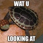 turtle meme | WAT U LOOKING AT | image tagged in turtle meme,scumbag | made w/ Imgflip meme maker