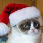 Grumpy cat christmas meme