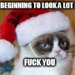 Grumpy cat christmas | IT'S BEGINNING TO LOOK A LOT LIKE F**K YOU | image tagged in grumpy cat christmas | made w/ Imgflip meme maker