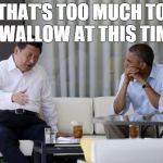 That's What Xi Said | THAT'S TOO MUCH TO SWALLOW AT THIS TIME | image tagged in that's what xi said,memes | made w/ Imgflip meme maker