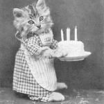 Cake Cat