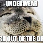 Satisfied Seal | UNDERWEAR FRESH OUT OF THE DRYER | image tagged in satisfied seal | made w/ Imgflip meme maker