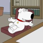 Brian Griffin