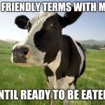 cow Meme Generator - Imgflip