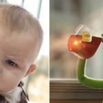 Skeptical Kermit
