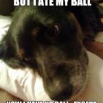 first world dog | I LOVE MY BALL, BUT I ATE MY BALL NOW I HAVE NO BALL...EXCEPT FOR THAT OTHER BALL | image tagged in first world dog | made w/ Imgflip meme maker