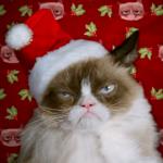 Grumpy Santa Cat meme
