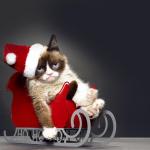 Grumpy Cat Christmas HD meme