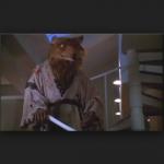 splinter 