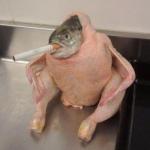 Smoking fish chicken