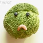 sad cabbage