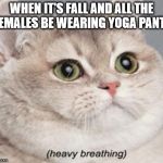 Heavy Breathing Cat | WHEN IT'S FALL AND ALL THE FEMALES BE WEARING YOGA PANTS | image tagged in heavy breathing cat | made w/ Imgflip meme maker