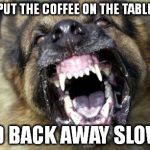 CoffeeDog | PUT THE COFFEE ON THE TABLE AND BACK AWAY SLOWLY | image tagged in coffeedog | made w/ Imgflip meme maker