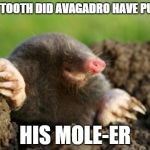 National Mole Day | WHAT TOOTH DID AVAGADRO HAVE PULLED? HIS MOLE-ER | image tagged in national mole day | made w/ Imgflip meme maker