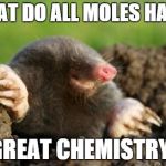 National Mole Day | WHAT DO ALL MOLES HAVE? GREAT CHEMISTRY! | image tagged in national mole day | made w/ Imgflip meme maker