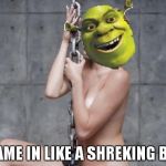 Miley Cyrus Shrek | I CAME IN LIKE A SHREKING BALL | image tagged in miley cyrus shrek | made w/ Imgflip meme maker