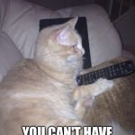 Funny cat | NO HUMAN... YOU CAN'T HAVE THE REMOTE! | image tagged in funny cat | made w/ Imgflip meme maker