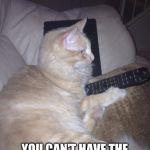 Funny cat | NO HUMAN... YOU CAN'T HAVE THE REMOTE OR THE IPAD! | image tagged in funny cat | made w/ Imgflip meme maker