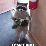 Cat Burglar Raccoon | WHAT DO YOU MEAN, I CAN'T JUST TAKE HIM? | image tagged in cat burglar raccoon | made w/ Imgflip meme maker