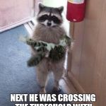 Cat Burglar Raccoon | ONE MOMENT, THEY MET AT THE CAT FOOD BOWL, AND FELL IN LOVE NEXT HE WAS CROSSING THE THRESHOLD WITH HIS NEW BRIDE IN HIS ARMS | image tagged in cat burglar raccoon | made w/ Imgflip meme maker