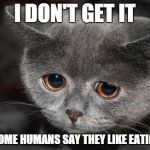 Humans eat WHAT?! | I DON'T GET IT HOW COME HUMANS SAY THEY LIKE EATING ME? | image tagged in sad cat,memes,funny,cats,pussy,cute | made w/ Imgflip meme maker