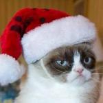 Christmas Grumpy Cat meme