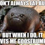 I don't always eat bugs | I DON'T ALWAYS EAT BUGS BUT WHEN I DO, IT GIVES ME GOOSEBUMPS! | image tagged in frowny frog,the most interesting man in the world | made w/ Imgflip meme maker