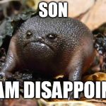 son i am disappoint | SON I AM DISAPPOINT | image tagged in frowny frog,disappointment,son i am disappoint | made w/ Imgflip meme maker