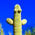 Huggy Cactus 