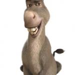 Donkey from Shrek meme