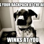 cool dog Hunter | SNIFFS YOUR BACKPACK AT THE AIRPORT WINKS AT YOU | image tagged in cool dog hunter | made w/ Imgflip meme maker