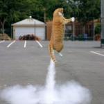 Rocket cat meme