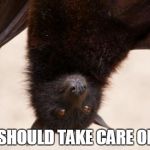 Abat that life | YOU SHOULD TAKE CARE OF BAT | image tagged in abat that life | made w/ Imgflip meme maker
