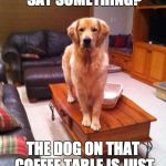 Coffee Table Dog | SORRY, DID YOU SAY SOMETHING? THE DOG ON THAT COFFEE TABLE IS JUST SO FASCINATING . | image tagged in coffee table dog | made w/ Imgflip meme maker