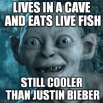 Excited Gollum | LIVES IN A CAVE AND EATS LIVE FISH STILL COOLER THAN JUSTIN BIEBER | image tagged in excited gollum | made w/ Imgflip meme maker