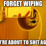 This bathroom will self-destruct in 3...2...1 | FORGET WIPING YOU'RE ABOUT TO SHIT AGAIN | image tagged in spiders suck | made w/ Imgflip meme maker