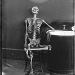 Skeleton in chair