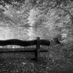 Black and white Bench