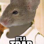 Mouse its a trap