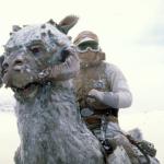 TaunTaun