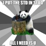 Pickup Line Panda | I PUT THE STD IN STUD ALL I NEED IS U | image tagged in memes,pickup line panda | made w/ Imgflip meme maker