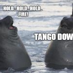 Two Awkward Seals | TANGO DOWN HOLD...HOLD...HOLD.. FIRE! | image tagged in two awkward seals | made w/ Imgflip meme maker